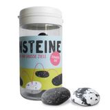 Meilensteine