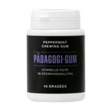 Pädagogi Gum
