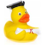 Abschlussprüfung Badeente
