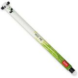 Legami Löschbarer Gelstift Panda