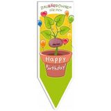 ZauBÄRbohne Happy Birthday