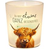 Teelicht Hochlandrind