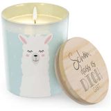 Duftkerze Lama