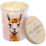 Duftkerze Lama Voll schön dass es Dich gibt
