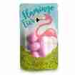 Flamingo Eier