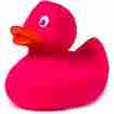 Badeente Pink
