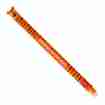 Legami Löschbarer Gelstift Tiger