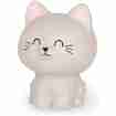 Legami Antistress Kitty
